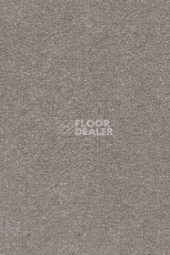 Ковролин AW Promenade 93 фото 1 | FLOORDEALER